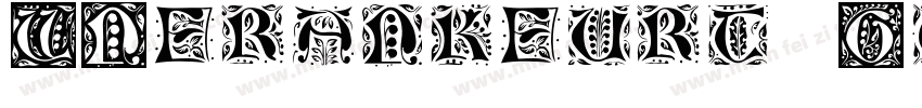 VNfrankfurt Gothic字体转换